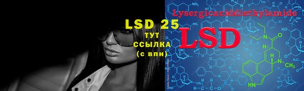 PSILOCYBIN Алзамай