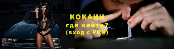сатива Осташков