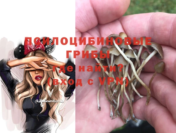 ПСИЛОЦИБИНОВЫЕ ГРИБЫ Алексин