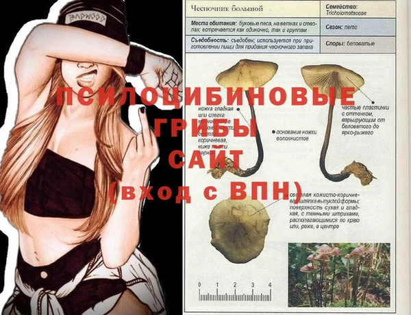 гашиш Арсеньев