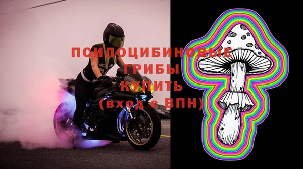ALPHA PVP Армянск