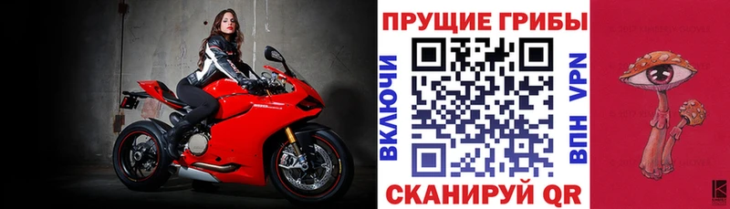 МЕГА онион  Россошь  Галлюциногенные грибы прущие грибы 